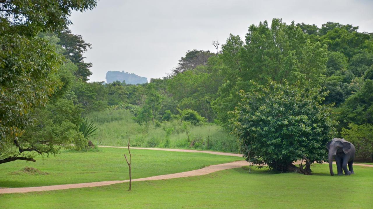 The Elephant Corridor Hotel Sigiriya Exterior foto